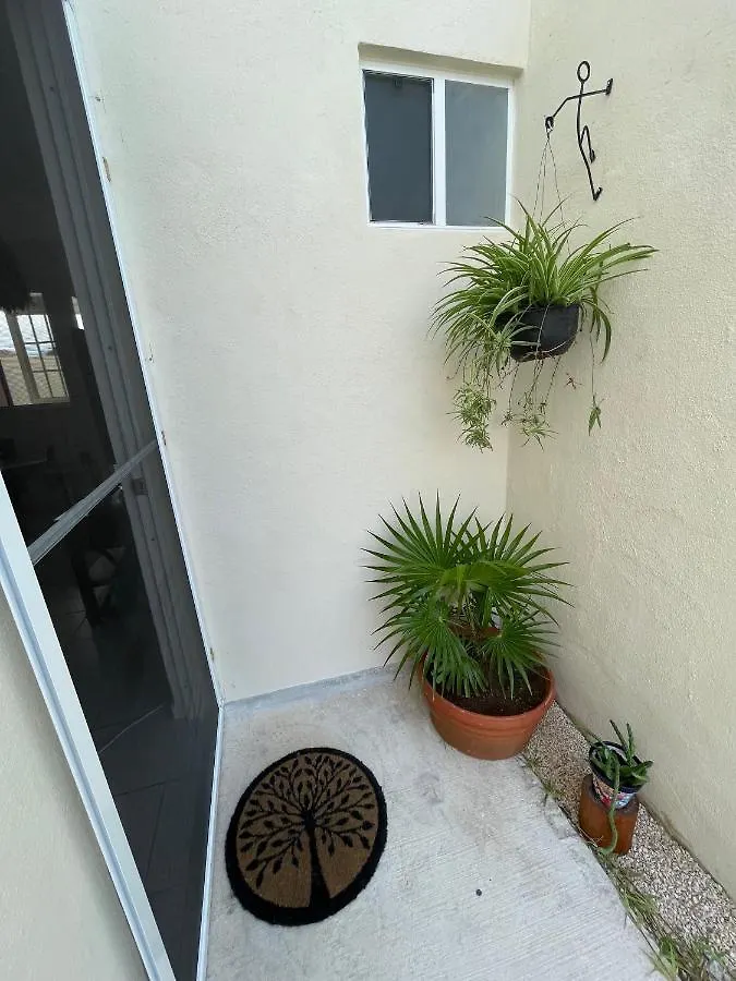 Casa Semilla Tulum Best Location To Explore Cenotes 0*,  Mexico