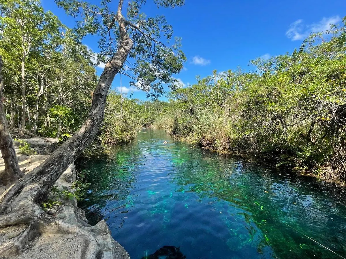 Casa Semilla Tulum Best Location To Explore Cenotes Holiday home