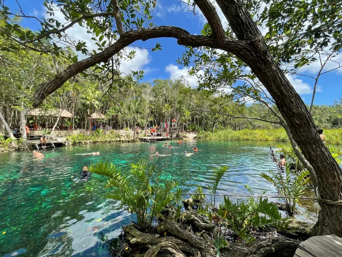 Casa Semilla Tulum Best Location To Explore Cenotes Mexico