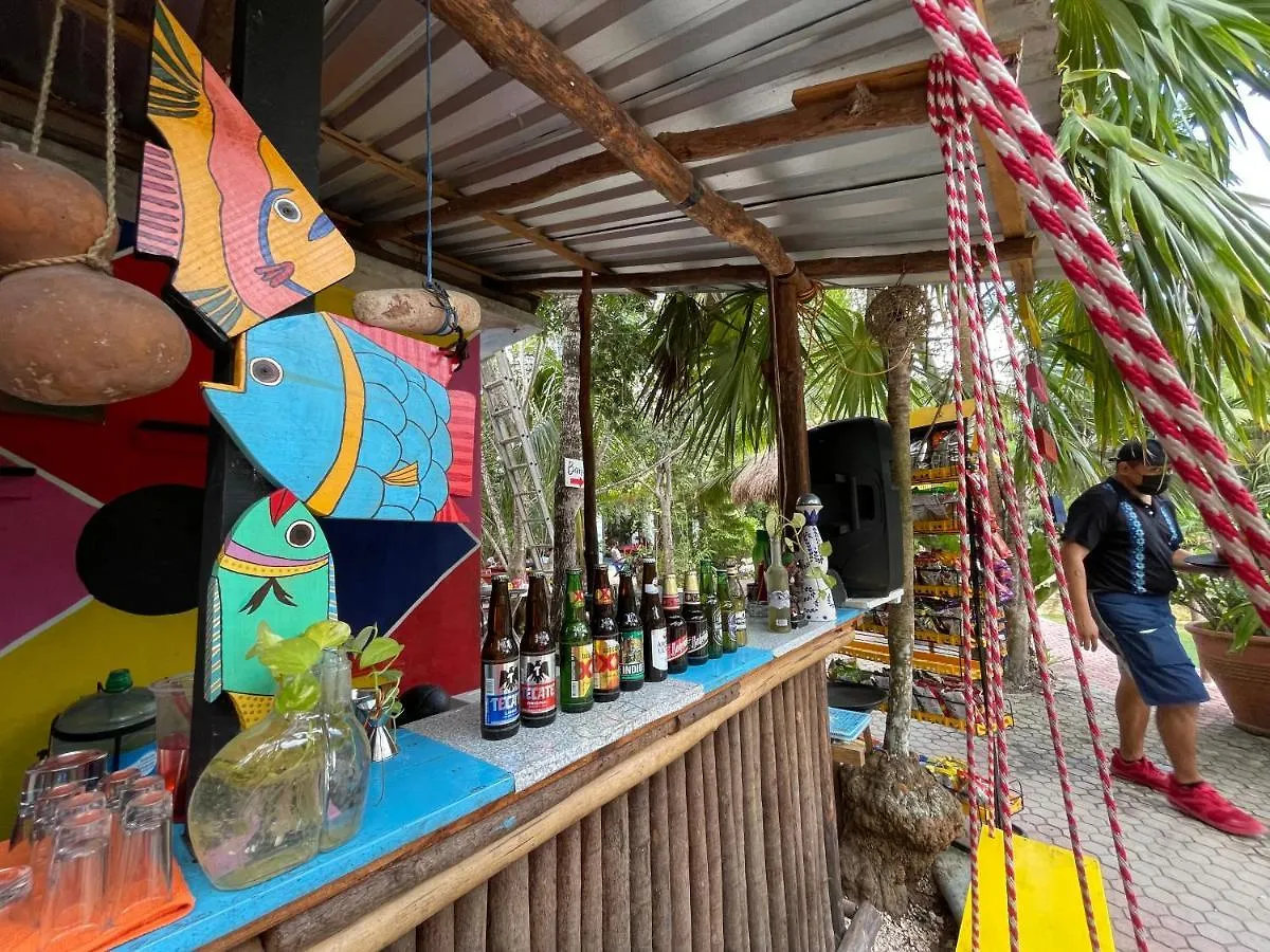 Casa Semilla Tulum Best Location To Explore Cenotes 0*,  Mexico